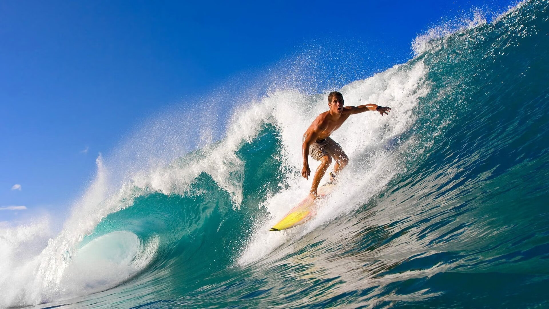 kaiyun-世界杯赛场上的“黑马故事”被纪录片跟拍：一段不平凡的竞技传奇